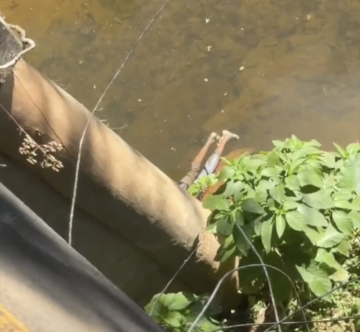 Hallan cadáver de una persona en río de La Cuaba, en Peralvillo
