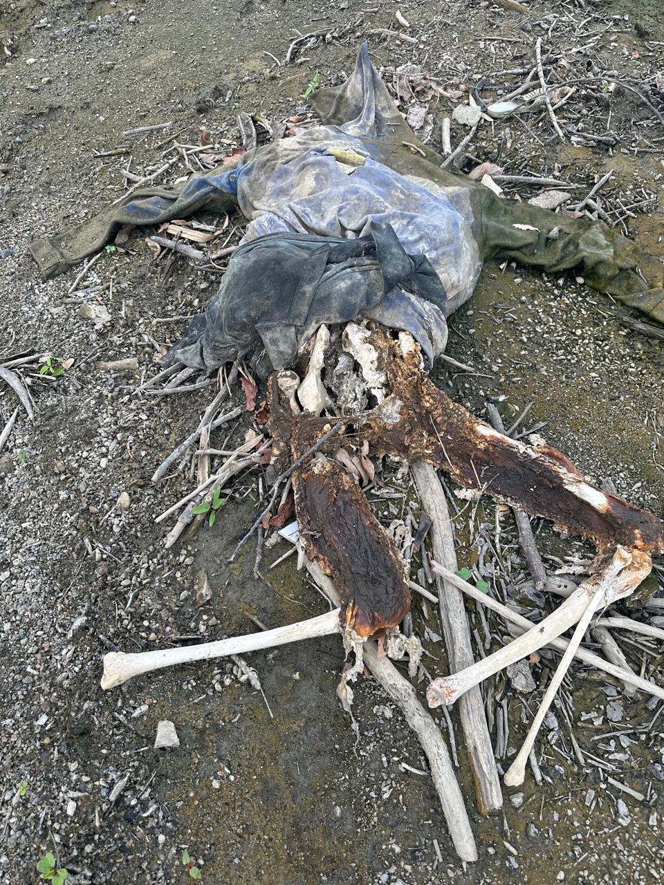 Encuentran osamenta a orillas del río Yaque del Norte en Villa Vásquez