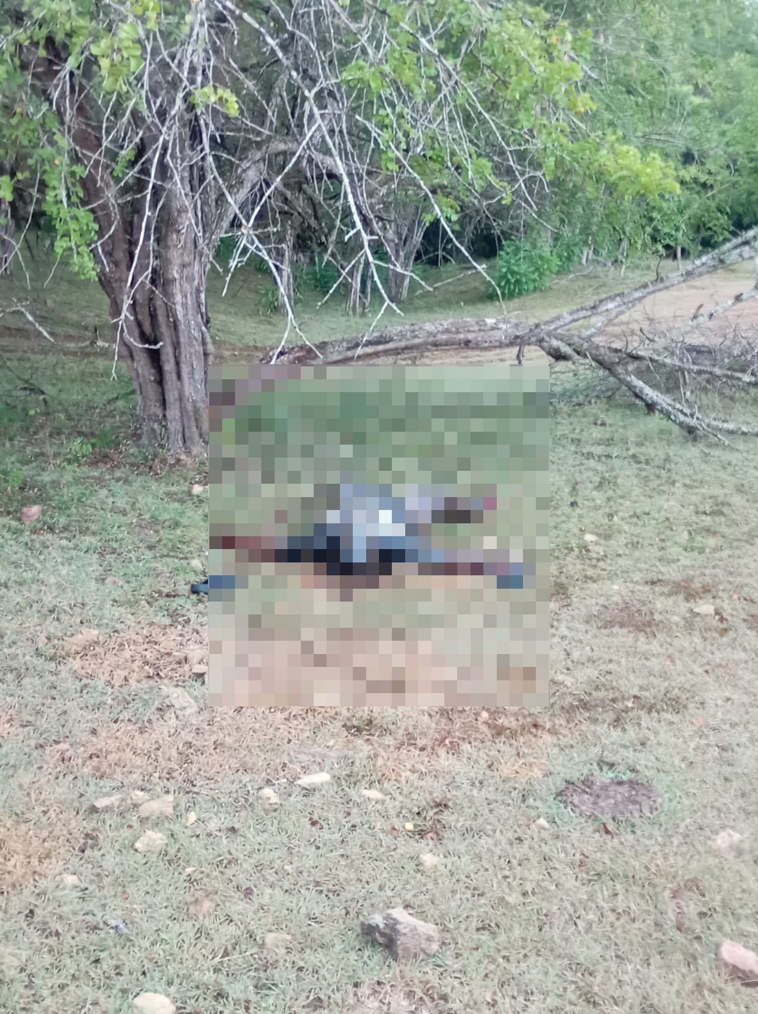 Hallan una persona muerta en avanzado estado de descomposición en Santiago Rodríguez