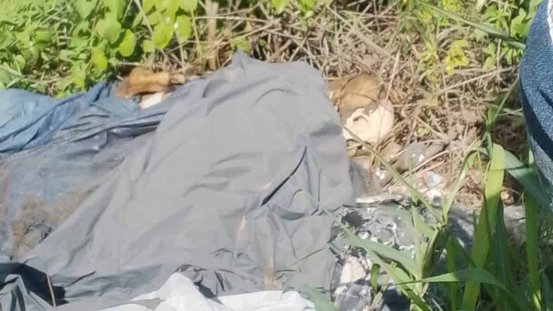 Hallan osamenta humana en la avenida Circunvalación Norte de Santiago